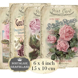 Roses cartes postales 6 x 4 pouces Téléchargement instantané feuille de collage numérique D189 Rose Stripes