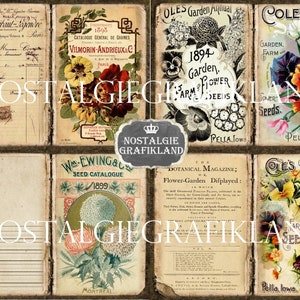 May include: A collage of vintage seed catalogs and botanical illustrations. The images feature flowers, plants, and text from the late 1800s. The text includes the names of seed companies, the year of publication, and the location of the company. The colors are muted and faded, giving the images a nostalgic feel.