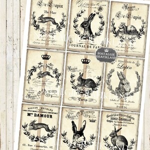 Rabbits Printable Hare Bunnies Lapin Lievre Bunny Labels ATC French ...