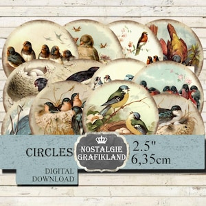 Birds Circles Swallows Robin Bluebird Tit 2.5" Round Download digital collage sheet C119