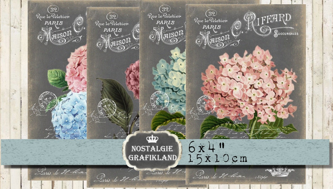 Hydrangea Printable Chalkboards Hortensia French Flowers Cards - Etsy