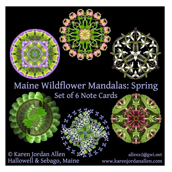 Mandala Note Cards Boxed Set of 6 ~ "Maine Wildflower Mandalas: Spring" ~ Six blank note cards ~ Kaleidoscopic designs