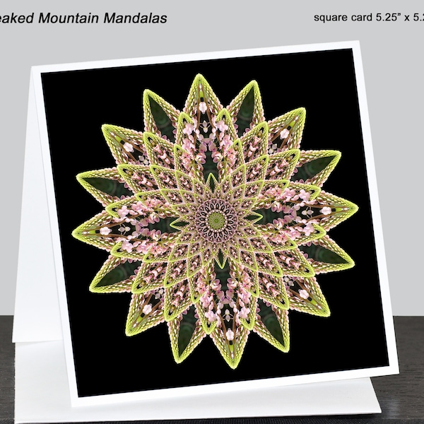 Nature mandala note card ~  Kaleidoscopic pink Maine lupine design ~ square or rectangular (A6), blank inside