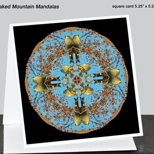 Nature mandala note card ~ Pine grosbeak bird mandala in blue and orange ~ square or rectangular (A6), blank inside ~ kaleidoscope design