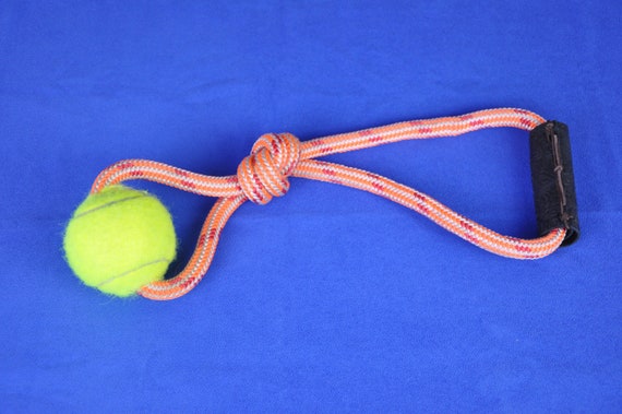 dog climbing toys