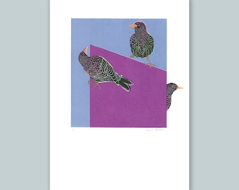 Starlings original screen print