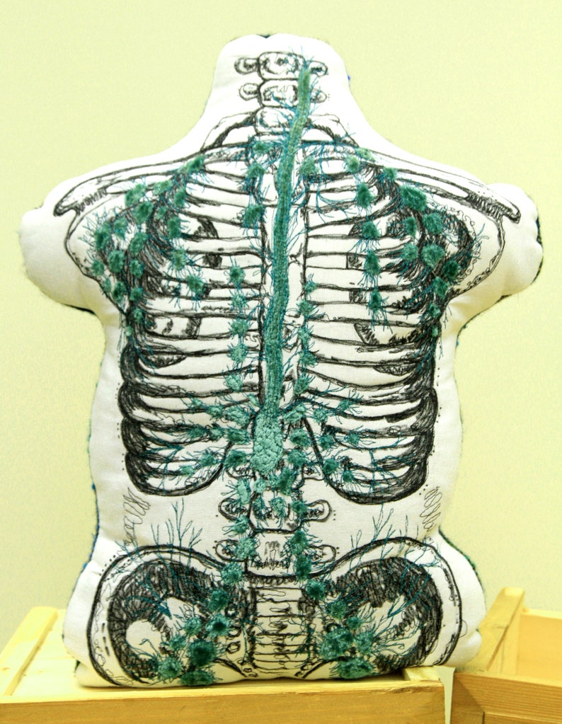 Cadaverous Cavities Torso with Lymphatic System image 1