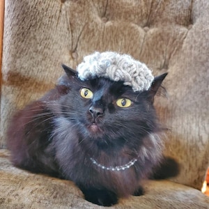 Puede incluir: Un gato negro con un gorro de punto gris y un collar de cuentas plateadas est&aacute; sentado en una silla tapizada marr&oacute;n.