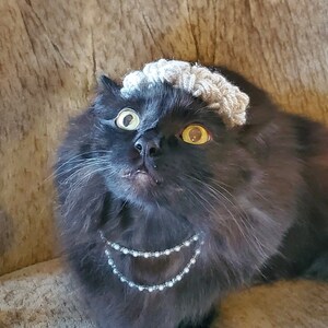 Puede incluir: Un gato negro con un gorro de punto gris y un collar de perlas. El gato tiene ojos amarillos y mira directamente a la c&aacute;mara.