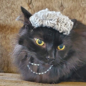 Puede incluir: Un gato negro con un gorro de punto gris y un collar de perlas. El gato est&aacute; sentado en un sof&aacute; marr&oacute;n.