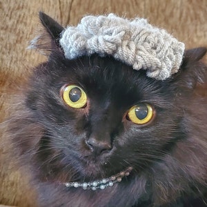 Puede incluir: Un gato negro con un gorro de punto gris y un collar de cuentas plateadas. El gato tiene ojos amarillos brillantes y mira directamente a la c&aacute;mara.