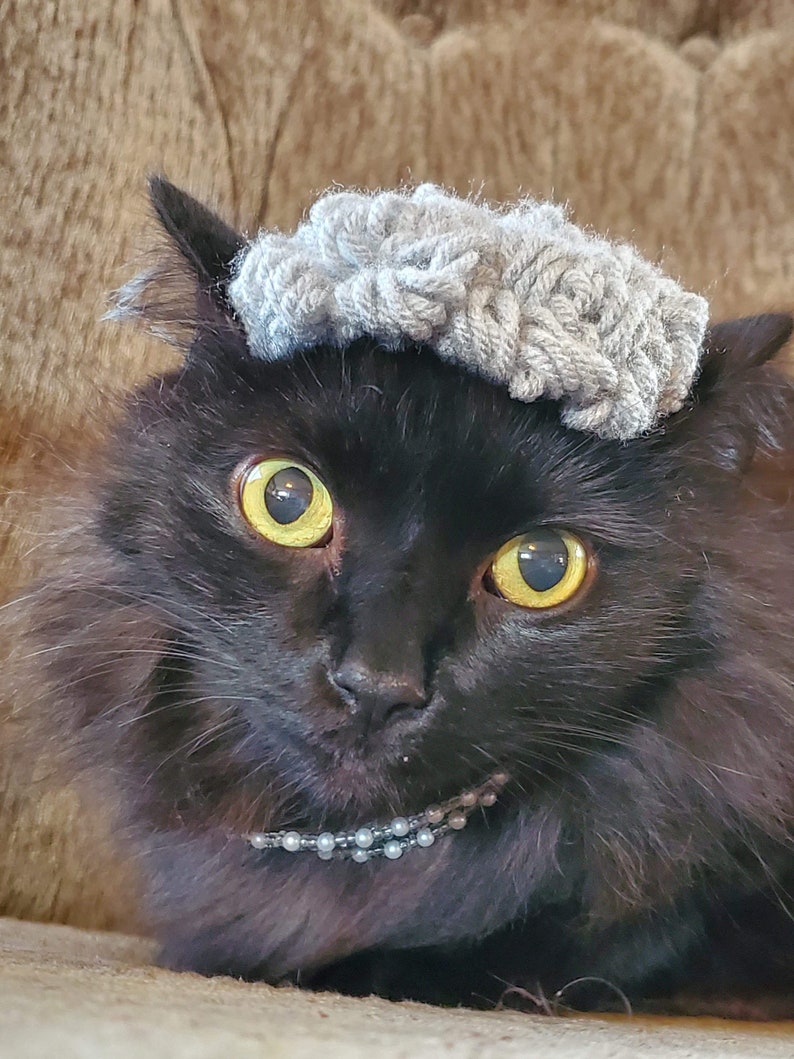 Puede incluir: Un gato negro con un gorro de punto gris y un collar de cuentas plateadas. El gato tiene ojos amarillos brillantes y mira directamente a la c&aacute;mara.