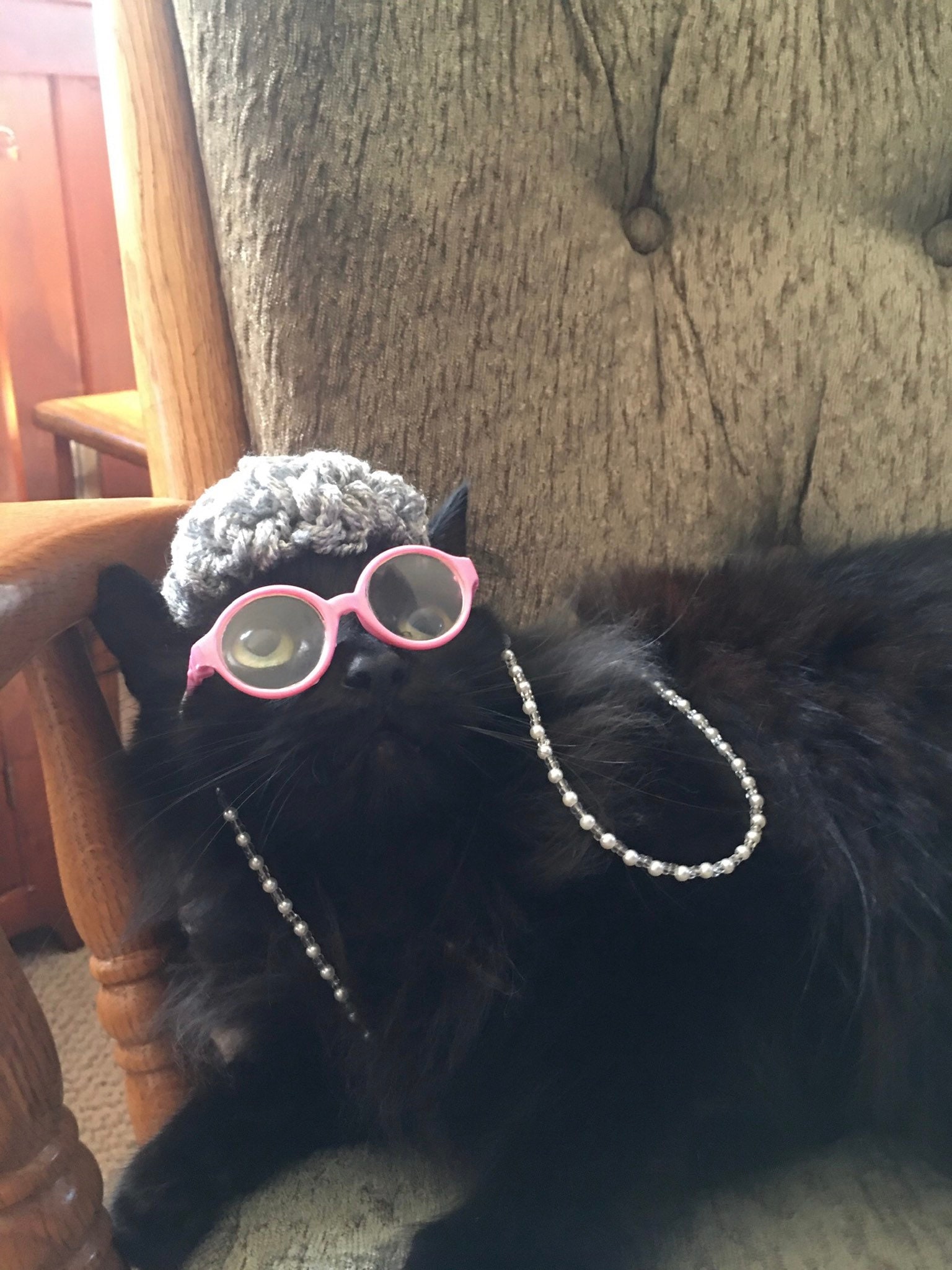 Old Lady Wig Costume for Cat Kitten, Small Toy Breed Dog, Puppy Costume, Ferret Clothes, Bunny Wig, Turtle Hat, Chicken Costume, - Etsy Australia Old Lady Wig Costume for Cat Kitten, Small Toy Breed Dog, Puppy Costume, Ferret Clothes, Bunny Wig, Turtle Hat, Chicken Costume, - Etsy Australia