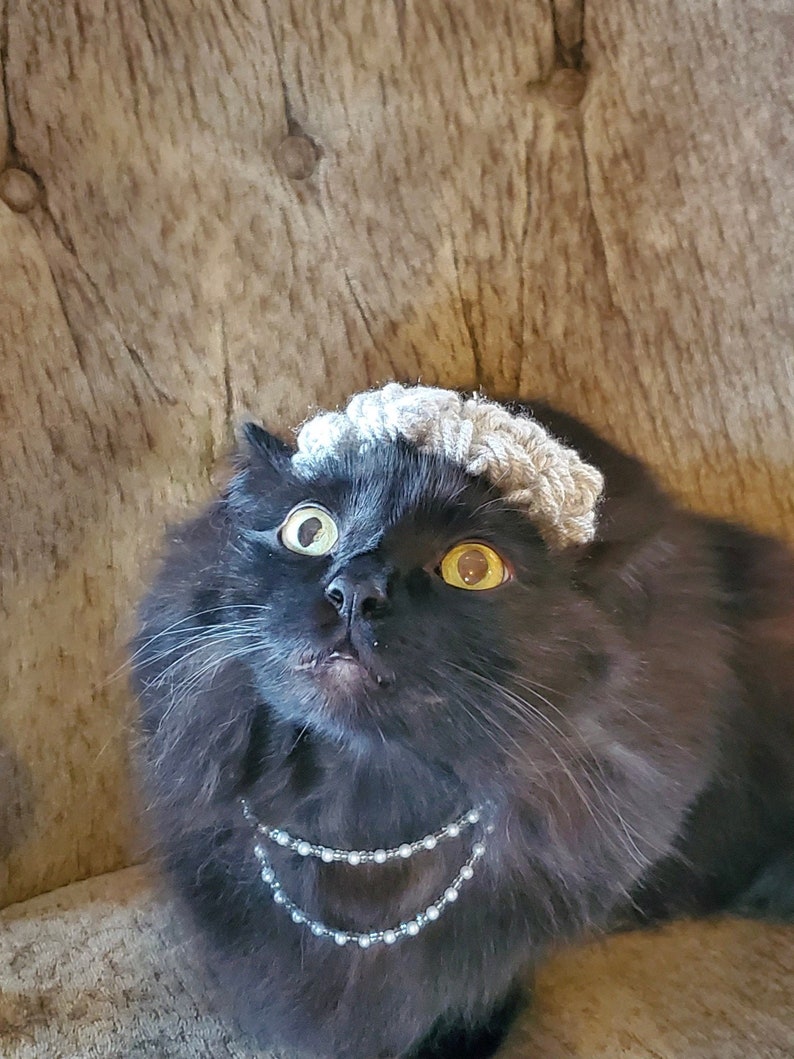 Puede incluir: Un gato negro con un gorro de punto gris y un collar de perlas. El gato tiene ojos amarillos y mira directamente a la c&aacute;mara.