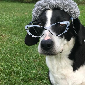 Puede incluir: Un perro blanco y negro con un gorro de punto gris y gafas blancas de ojo de gato. El perro est&aacute; sentado en una zona cubierta de hierba.