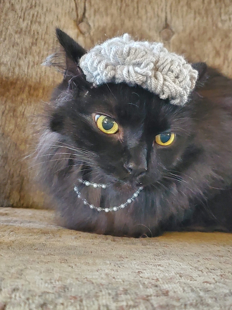Puede incluir: Un gato negro con un gorro de punto gris y un collar de perlas. El gato est&aacute; sentado en un sof&aacute; marr&oacute;n.
