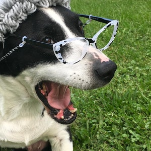 Puede incluir: Un perro blanco y negro con un gorro de punto gris y gafas de sol blancas de ojo de gato con montura negra. El perro est&aacute; bostezando con la boca abierta y la lengua fuera.