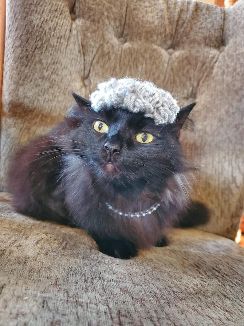 Puede incluir: Un gato negro con un gorro de punto gris y un collar de cuentas plateadas est&aacute; sentado en una silla tapizada marr&oacute;n.