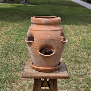 May include: A terracotta strawberry planter pot with a wide top opening and multiple side pockets for planting. The vessel features a natural clay finish with visible weathering and sits on a matching circular saucer base, showcasing a classic design.