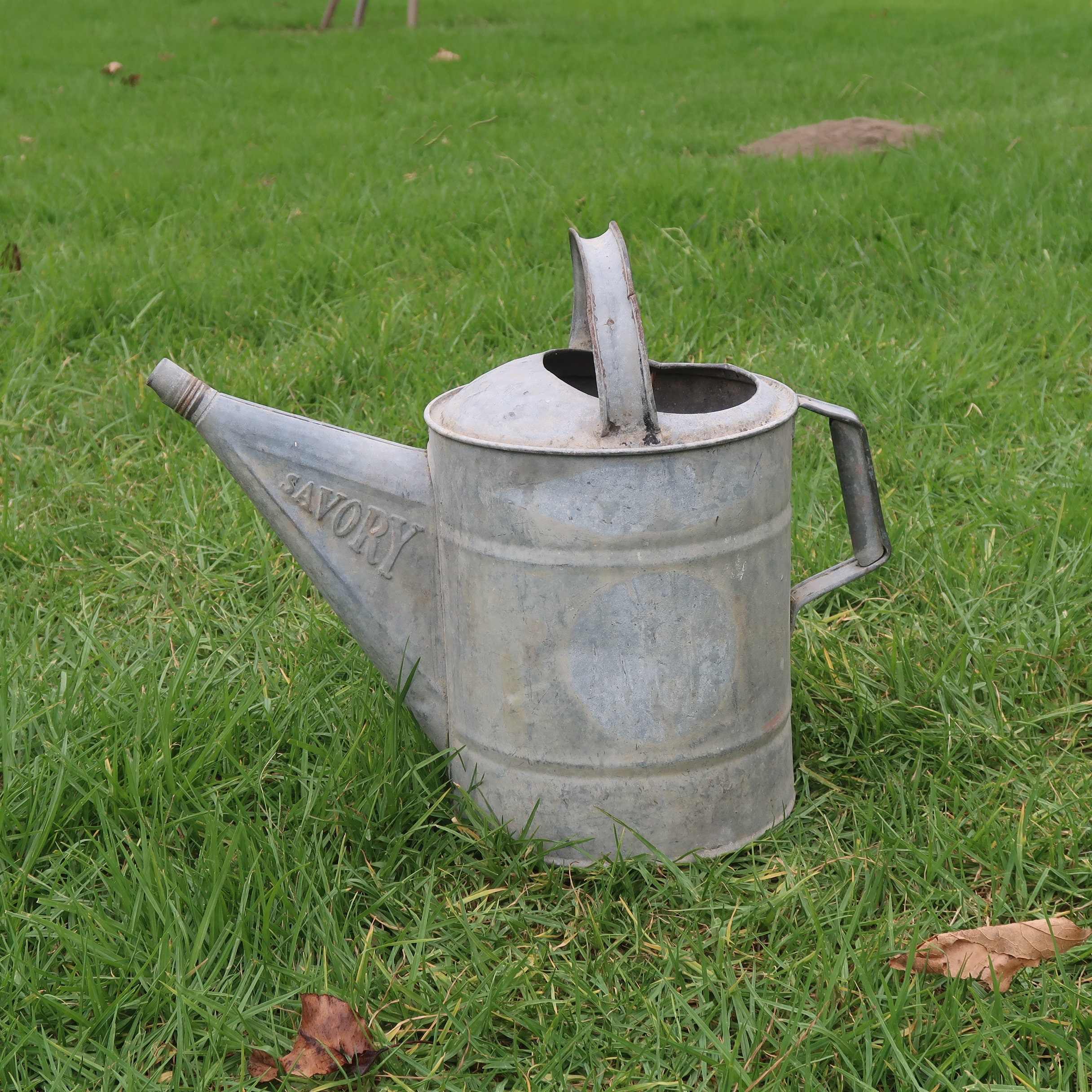 Vintage Savory Co. Galvanized Watering Can 2 Gal - Etsy