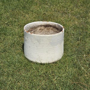 May include: A cylindrical, off-white planter with horizontal etched lines. The interior contains soil, and the rim shows hints of rust. The planter sits on a bed of green grass, suggesting outdoor use.