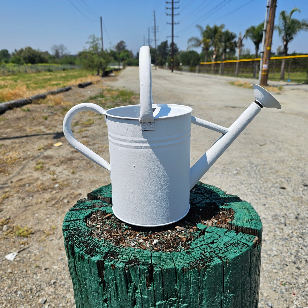 1 Gal Metal Watering Can Flat White Etsy