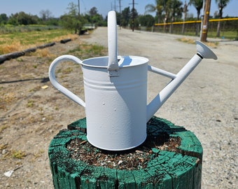 Arrosoir en métal de 1 gal, blanc mat