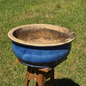 May include: A round, deep ceramic planter with a glossy cobalt blue exterior and a wide, unglazed beige rim. The interior of the bowl is dark and textured, showing signs of previous use. The planter is supported by a wooden stand.