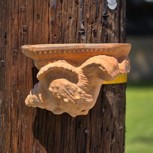 Maceta de pared vintage de terracota con forma de concha marina, maceta rústica de bolsillo con forma de vieira.