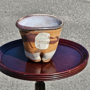 May include: A brown and white ceramic planter with a unique design. The planter has a wide, round opening and a narrow base. The planter is sitting on a dark brown wooden table.