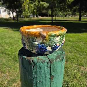 May include: A ceramic planter with a detailed grape and leaf design. The planter features a vibrant color palette of blue, green, yellow, and pink. The rim is a warm yellow, and the body is adorned with clusters of blue grapes and green leaves.