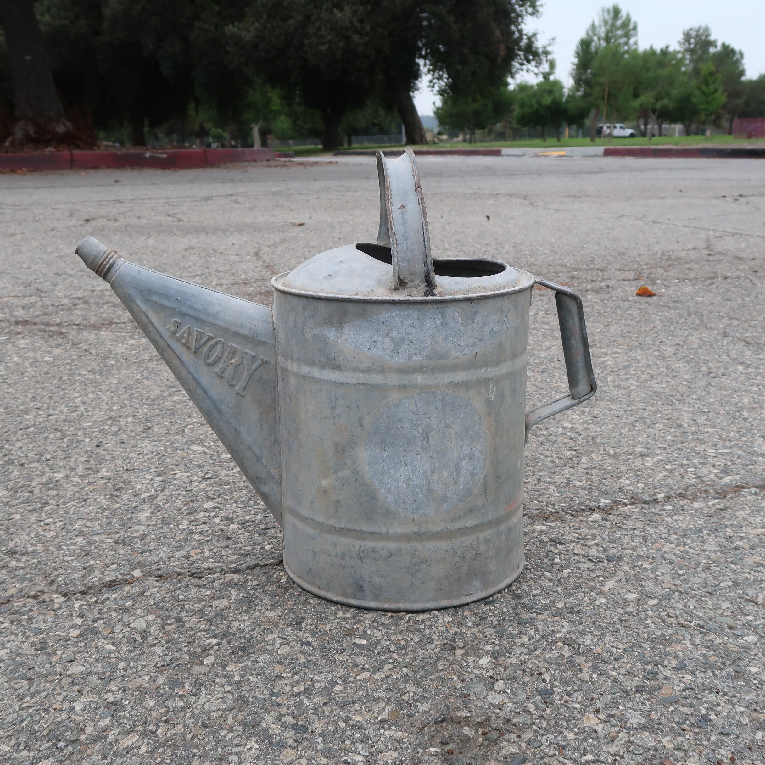 Vintage Savory Co. Galvanized Watering Can 2 Gal - Etsy