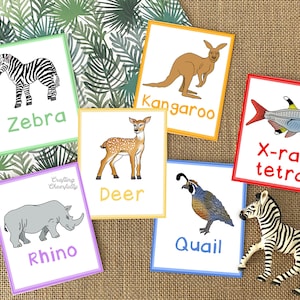 May include: A set of colourful flashcards featuring various animals, including a zebra, kangaroo, deer, quail, rhino, and an x-ray tetra fish. Each card has a simple illustration of the animal and its name written below.