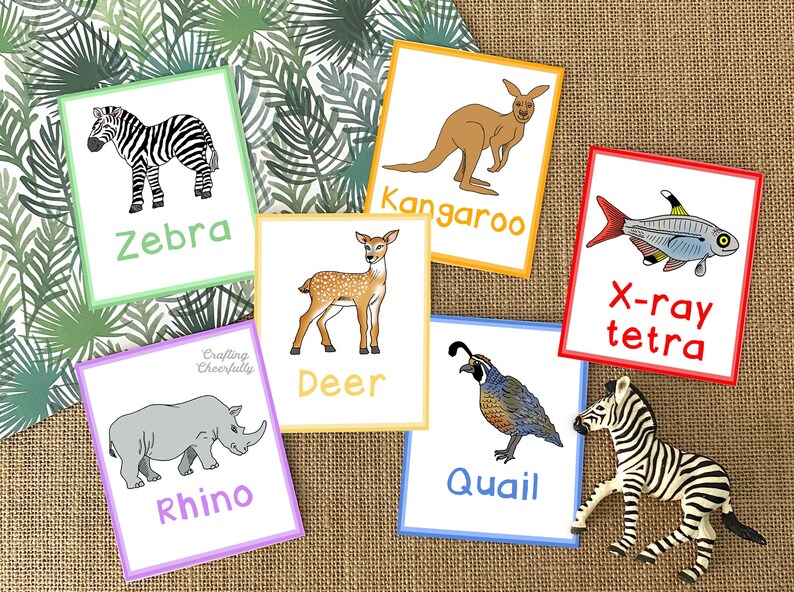 May include: A set of colourful flashcards featuring various animals, including a zebra, kangaroo, deer, quail, rhino, and an x-ray tetra fish. Each card has a simple illustration of the animal and its name written below.