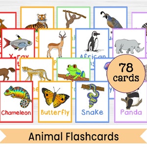 Animal Flashcards - 78 Printable Animal Picture Flashcards