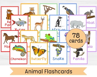 Animal Flashcards - 78 Printable Animal Picture Flashcards