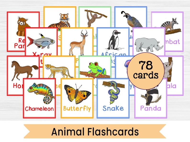 May include: A set of 78 colourful animal flashcards featuring illustrations of animals such as a red panda, tiger, cheetah, chameleon, butterfly, snake, panda, and more. The cards are ideal for learning about different animals and their names.