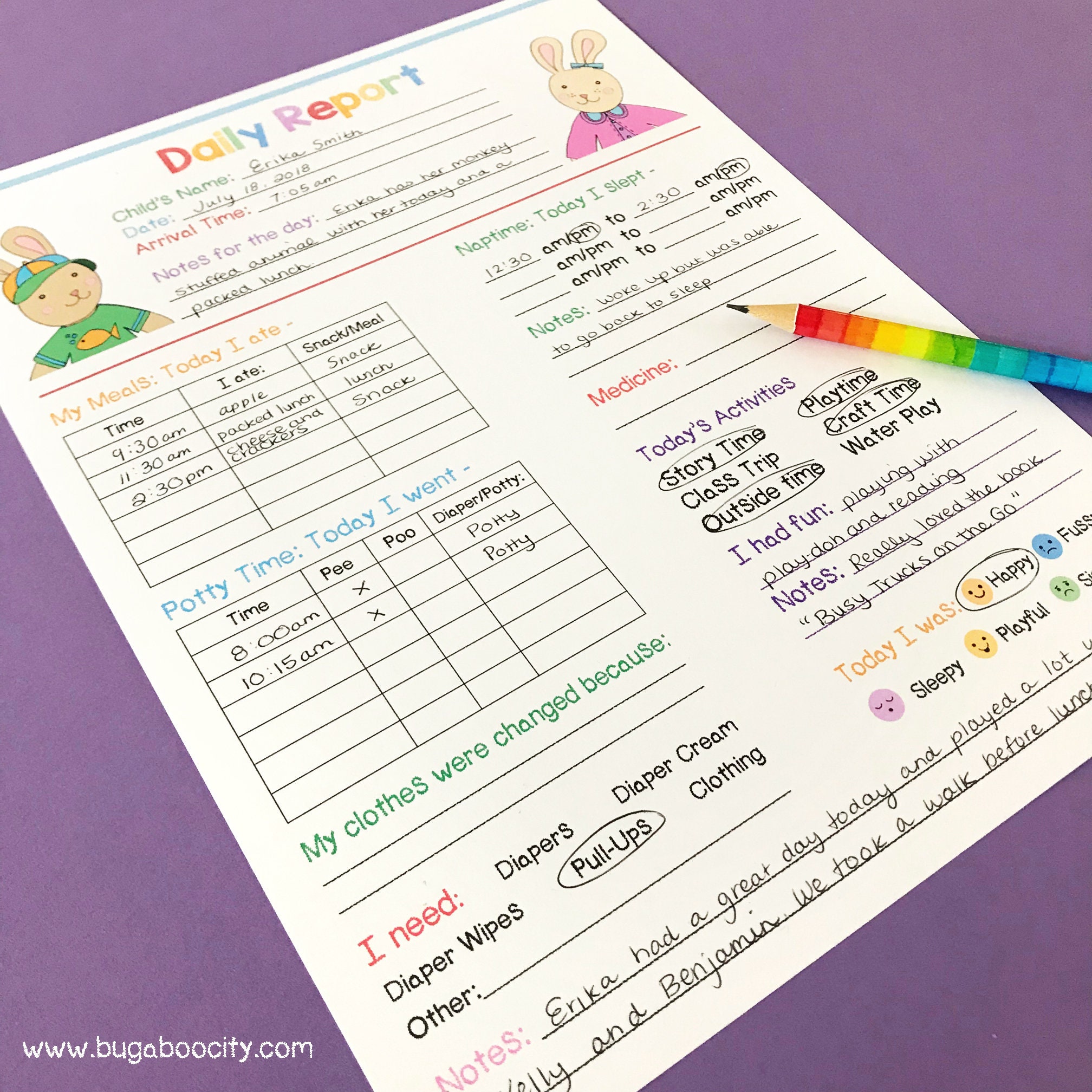 Nanny Daily Log Template