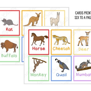 May include: A set of nine colourful flashcards featuring different animals, including a rat, buffalo, horse, cheetah, deer, monkey, quail, and numbat. Each card has a simple illustration of the animal and the name of the animal printed below the image. The text "CARDS PRINT SIX TO A PAGE" is printed at the top of the page.