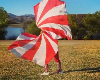 Silk swing flags Pair of hand painted spin flags. This pattern creates amazing visual effects.