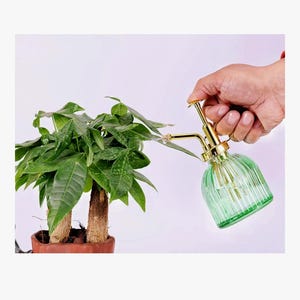 Glass Plant Mister Sprayer Pump Watering Can Green Gold Clear Container