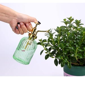 Glass Plant Mister Sprayer Pump Watering Can Light Green Gold Clear Container