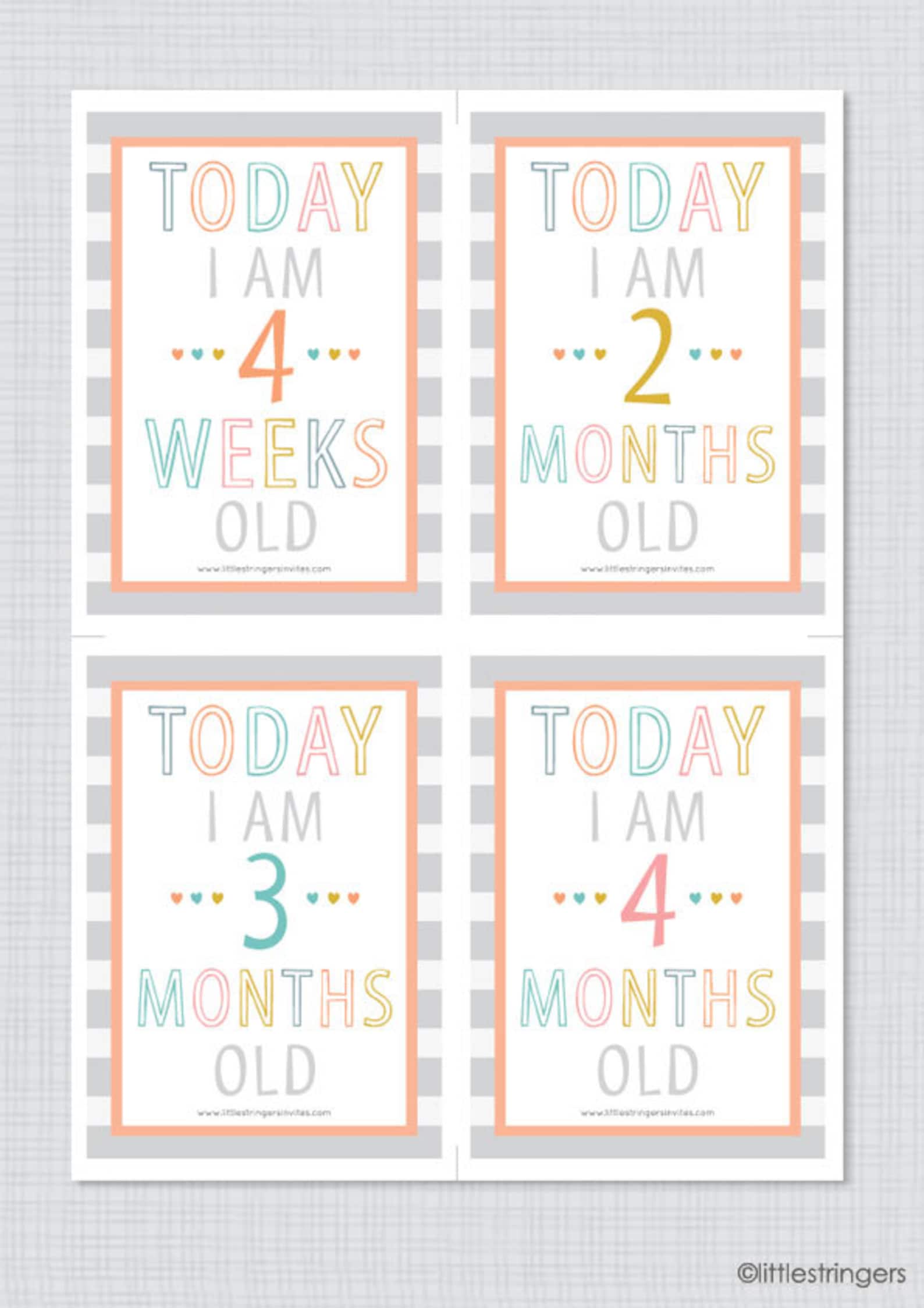 Instant Download Printable Illustrated Baby Milestone Cards | Etsy