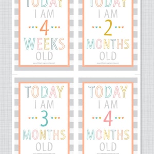 Instant Download Printable Illustrated Baby Milestone Cards, Baby&#39;s First Year, Baby Development, Baby Milestone Growing Up Cards