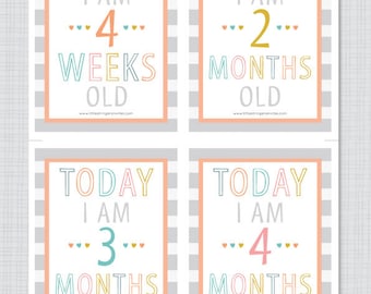 Baby Milestone Cards: Illustrated First Year Keepsake (Digital Download)