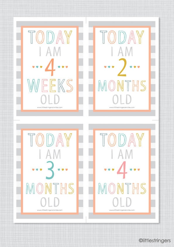 Instant Download Printable Illustrated Baby Milestone Cards, Baby's ...