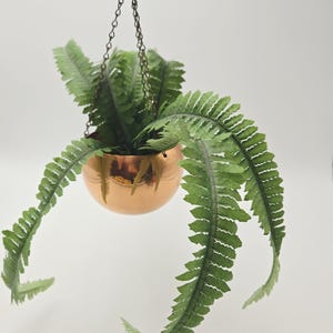 May include: A hanging copper-colored planter with a green fern. The fern has long, cascading fronds with small, detailed leaves. The planter is round and suspended by a dark chain, creating a decorative indoor or outdoor accent.