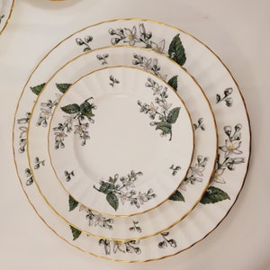 Worcester Lavinia - Etsy Canada
