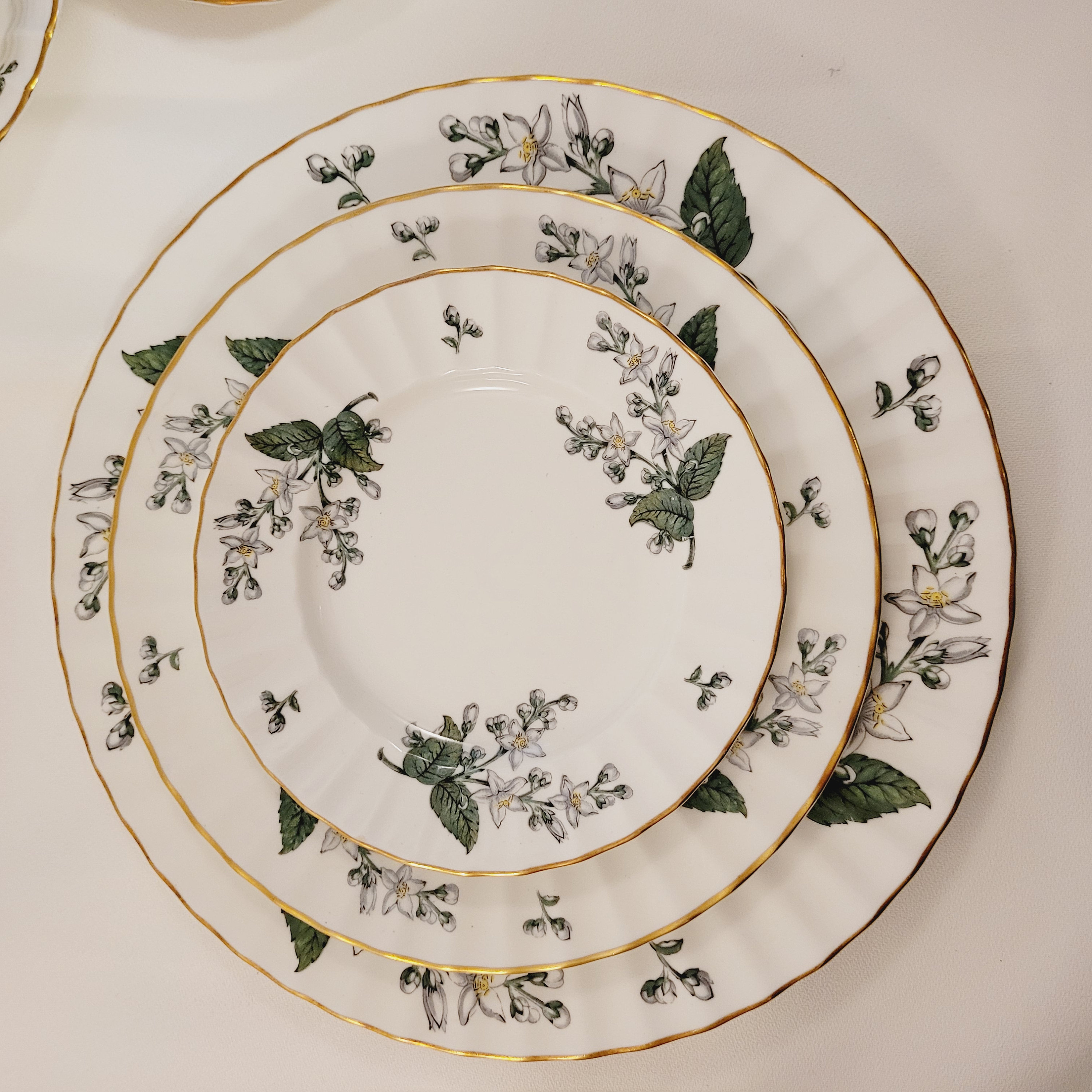 Worcester Lavinia - Etsy