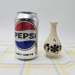 May include: A silver aluminum Diet Pepsi soda can with red, white, and blue branding next to a small, cream-colored ceramic bud vase featuring a speckled texture and a hand-painted dark blue floral pattern with green leaves and stems.